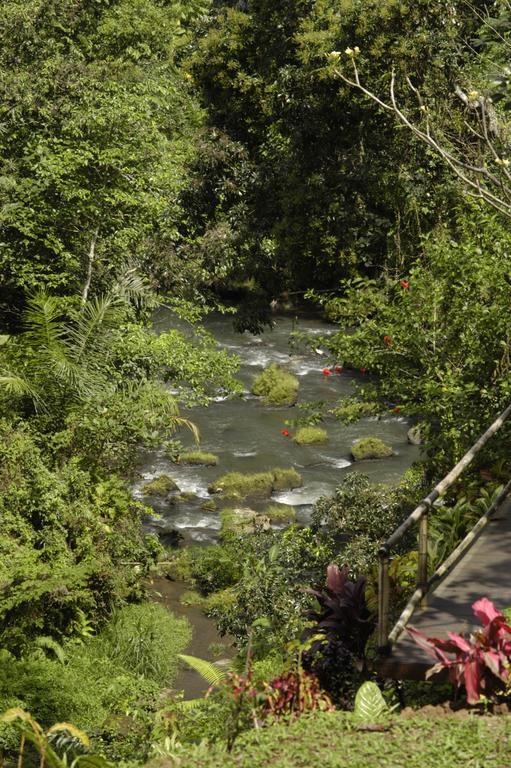 Alami Villa ウブド エクステリア 写真